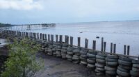 IMG-20251019-WA0066